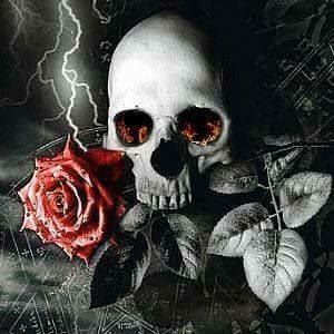 Meet your Posher, Ellie